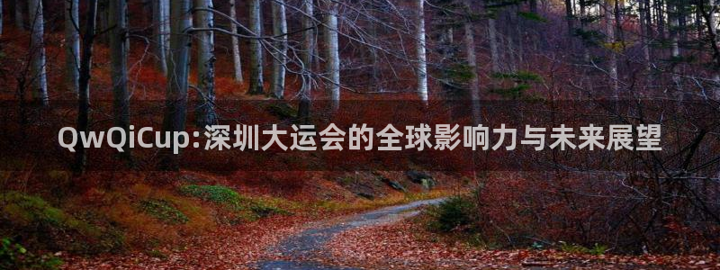 2026世界杯赛程表完整版：QwQiCup:深圳大运会的全球影响力与未来展望