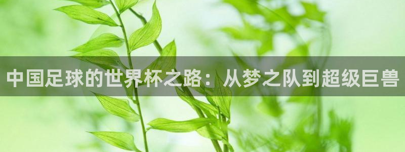 2026世界杯亚洲区预选赛：中国足球的世界杯之路：从梦之队到超级巨兽