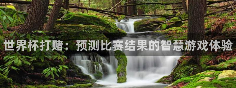 英格兰联赛杯直播：世界杯打赌：预测比赛结果的智慧游戏体验