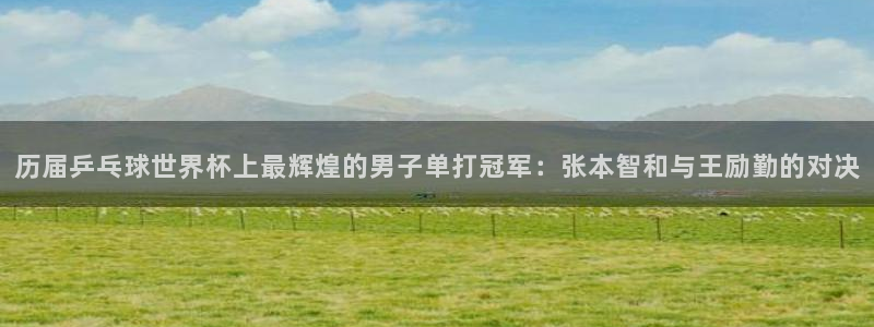 今年的世界杯：历届乒乓球世界杯上最辉煌的男子单打冠军：张本智和与王励勤的对决