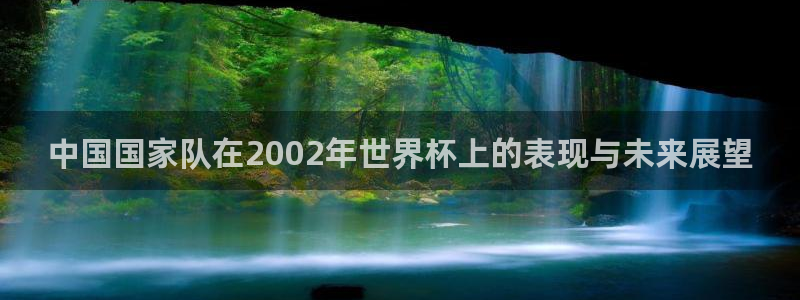世界杯足球2026：中国国家队在2002年世界杯上的表现与未来展望