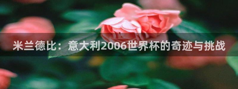 国际足联世界杯：米兰德比：意大利2006世界杯的奇迹与挑战