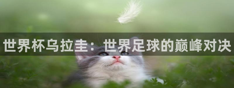 世界杯欧洲区赛程：世界杯乌拉圭：世界足球的巅峰对决