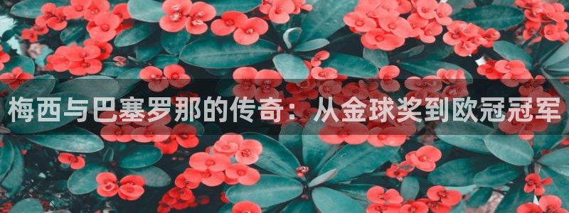 世界杯：梅西与巴塞罗那的传奇：从金球奖到欧冠冠军