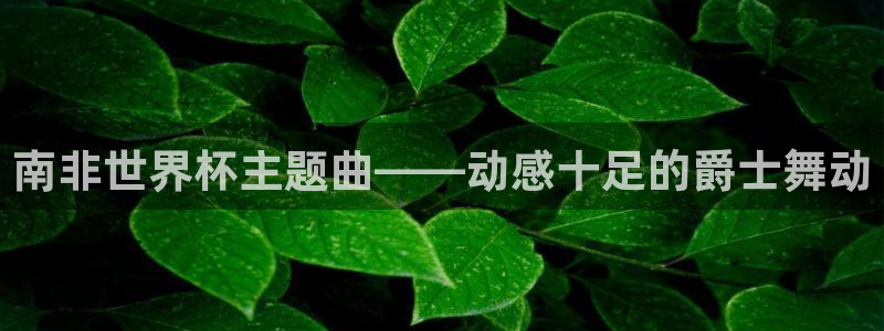 2026年世界杯赛程表时间：南非世界杯主题曲——动感十足的爵士舞动