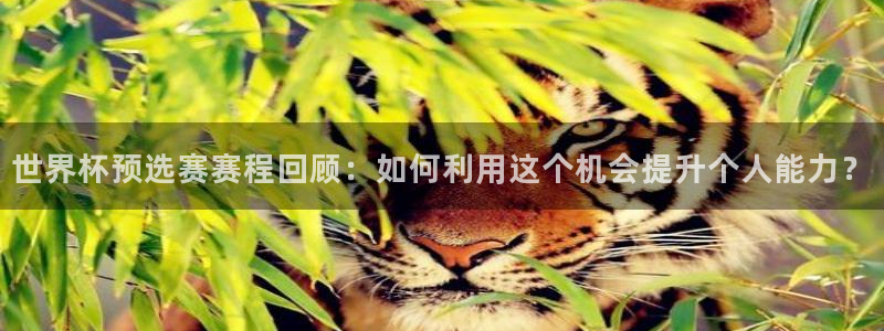 欧洲世预赛赛程表：世界杯预选赛赛程回顾：如何利用这个机会提升个人能力？