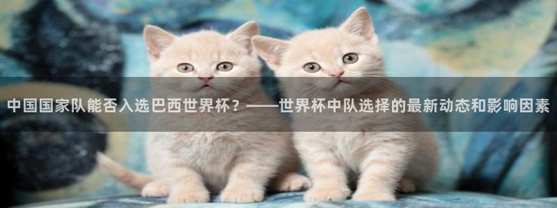 世界杯直播观看：中国国家队能否入选巴西世界杯？——世界杯中队选择的最新动态和影响因素